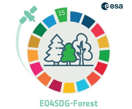 EO4SDG logo.